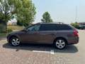 Skoda Octavia Octavia 1.6 TDI 105 ch CR FAP Green Tec Active DSG - thumbnail 7