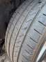 Skoda Octavia Octavia 1.6 TDI 105 ch CR FAP Green Tec Active DSG - thumbnail 6