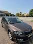 Skoda Octavia Octavia 1.6 TDI 105 ch CR FAP Green Tec Active DSG - thumbnail 9