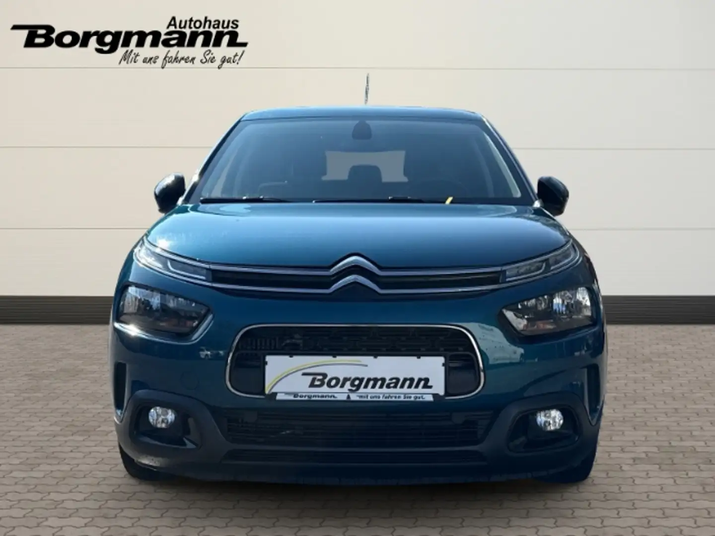 Citroen C4 Cactus Shine 1.2 PureTech 130 EU6d-T Navi Klimaautom SHZ Green - 2