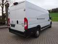 Peugeot Boxer 435 L4H2 Pro BlueHDi 165 Stop/Klima/Kamera/1-Hand Blanco - thumbnail 5
