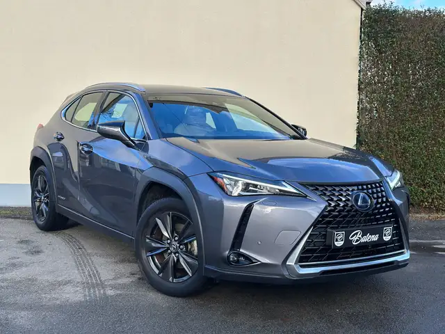 Lexus UX 250h Leder Camera Zetelverwarming Keyless-Entry