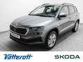 Skoda Karoq 2.0 TDI DSG 4x4 Selection Navi AHK Grau - thumbnail 1