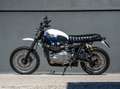 Triumph Scrambler 900 Bianco - thumbnail 7