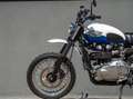 Triumph Scrambler 900 Bianco - thumbnail 6