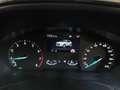 Ford Puma 1.0 EcoBoost Hybrid 125 CV S&S aut. Titanium Blu/Azzurro - thumbnail 12