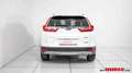 Honda CR-V CRV 2,0 Hybrid Exe. Blanc - thumbnail 17