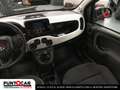 Fiat Panda Panda 1.0 FireFly Hybrid Pandina Cross PROMO FLEX Rot - thumbnail 9