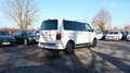 Volkswagen T6 Multivan T6.1 Multivan Cruise 4M StandHz LED RCam ACC AHK Weiß - thumbnail 6