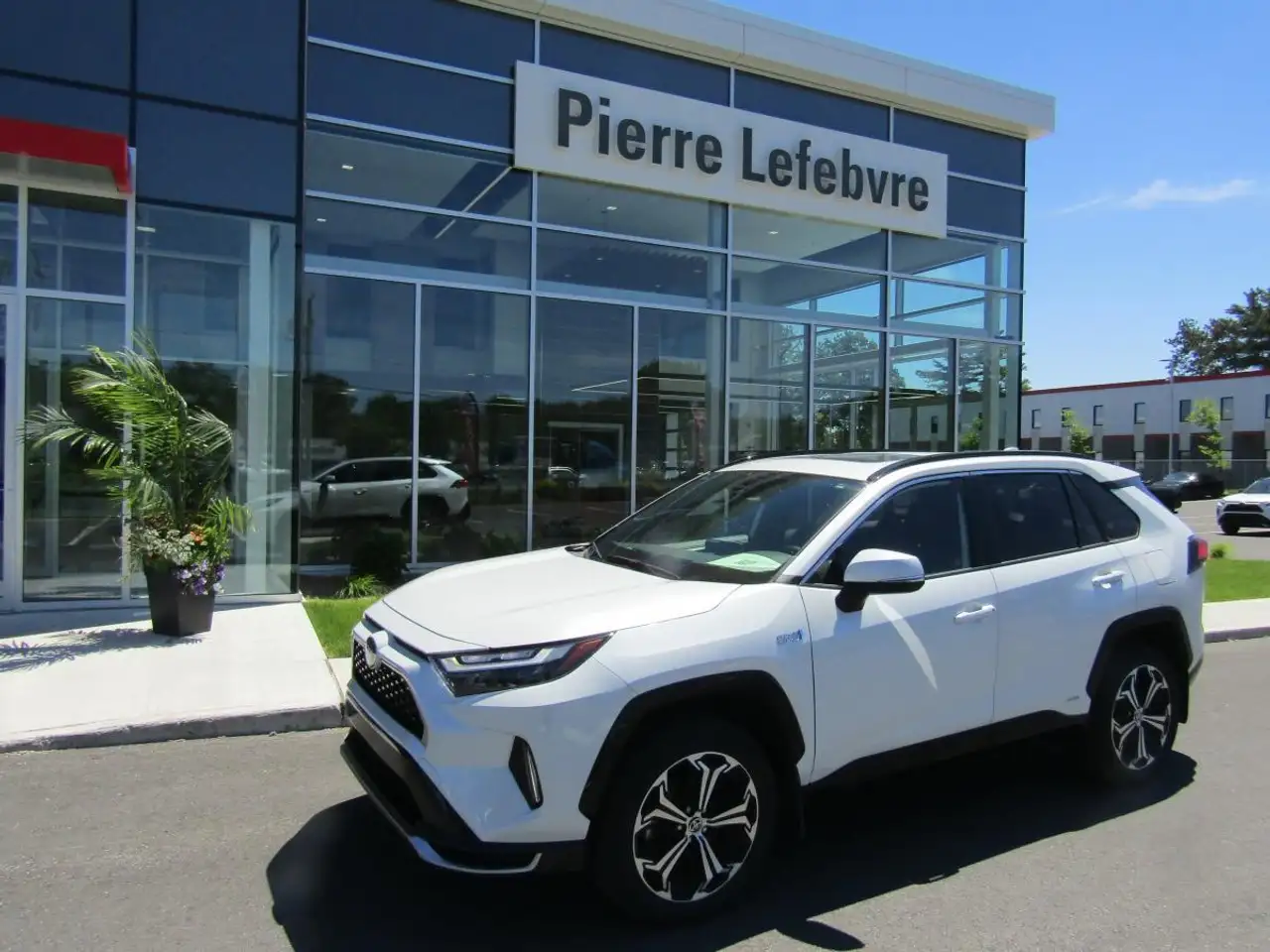 2024 Toyota RAV 4