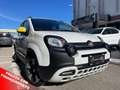 Fiat New Panda Pandina Cross 1.0 firefly hybrid s Alb - thumbnail 1
