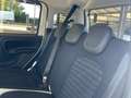 Fiat New Panda Pandina Cross 1.0 firefly hybrid s Alb - thumbnail 13