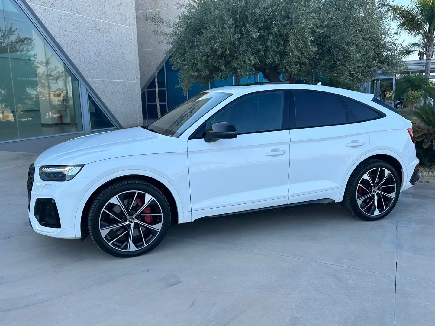 Audi SQ5 spb 3.0 tdi possibilità noleggio no scoring Bianco - 2