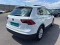 Volkswagen Tiguan Comfortline TSI ACT OPF DSG Weiß - thumbnail 4