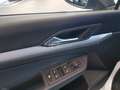 Volkswagen Golf VIII 2020 1.0 tsi evo Life 110cv Wit - thumbnail 13