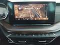 Skoda Octavia Combi Scout 2.0 TSI 4x4 DSG Matrix ACC Silber - thumbnail 11