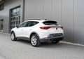 CUPRA Formentor 1,4 e-Hybrid 204 Cupra DSG, Sportausstattung, 3... Weiß - thumbnail 9