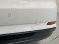 Audi A5 sportback 40 2.0 tdi 190cv business sport quattro White - thumbnail 13