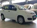 Fiat Panda van 4 posti 1.2 69cv easy Bianco - thumbnail 5
