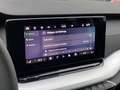 Skoda Octavia IV (2) COMBI 2.0 TDI 150 SELECTION DSG7 PACK CONFO Gris - thumbnail 21