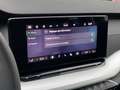 Skoda Octavia IV (2) COMBI 2.0 TDI 150 SELECTION DSG7 PACK CONFO Gris - thumbnail 20