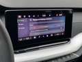 Skoda Octavia IV (2) COMBI 2.0 TDI 150 SELECTION DSG7 PACK CONFO Gris - thumbnail 23