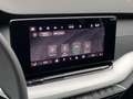 Skoda Octavia IV (2) COMBI 2.0 TDI 150 SELECTION DSG7 PACK CONFO Gris - thumbnail 28