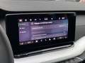 Skoda Octavia IV (2) COMBI 2.0 TDI 150 SELECTION DSG7 PACK CONFO Gris - thumbnail 22