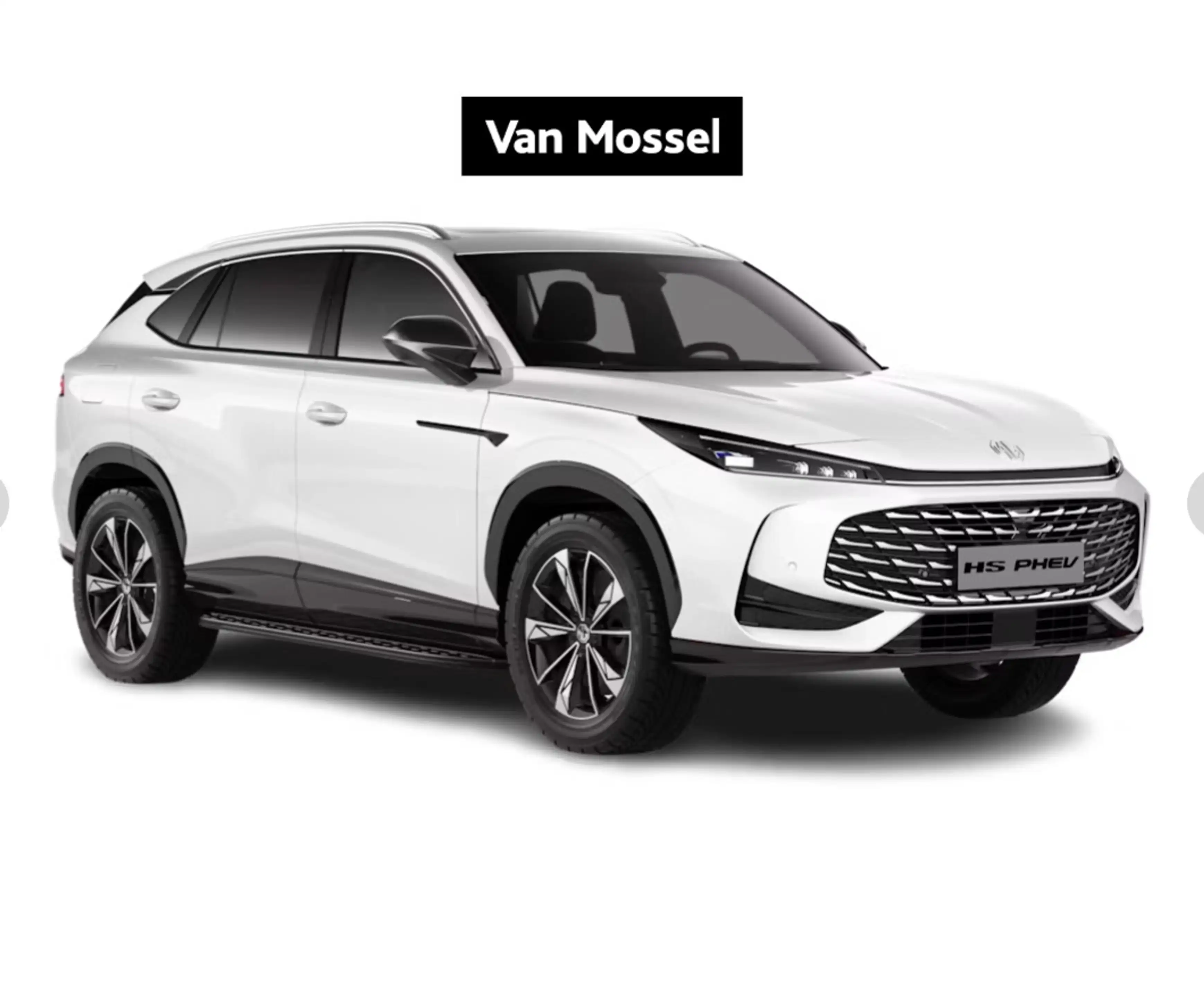 MG EHS PHEV LUXURY MG EHS PHEV - LEDEREN ZETELBEKLEDING -