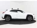 Lexus UX 250h F-Sport Edition | Sportstoelen | Stoel- en stuurwi Wit - thumbnail 14
