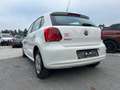 Volkswagen Polo Polo Aktion 1,2 Aktion Weiß - thumbnail 6