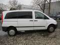 Mercedes-Benz Vito 116 CDI Allrad Weiß - thumbnail 2