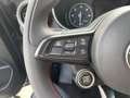 Alfa Romeo Stelvio 2.2 TD Business Q4 190cv Automatica Grau - thumbnail 30