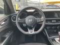 Alfa Romeo Stelvio 2.2 TD Business Q4 190cv Automatica Grau - thumbnail 11