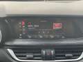 Alfa Romeo Stelvio 2.2 TD Business Q4 190cv Automatica Grau - thumbnail 13