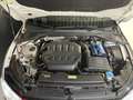 Volkswagen Golf GTI 2.0 TSI GTI|PANO|HARMAN|HEAD-UP|CAMERA Wit - thumbnail 24