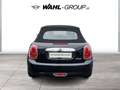 MINI Cooper Cabrio Cooper Cabrio Navi Chili LED ACC SHZ Schwarz - thumbnail 4