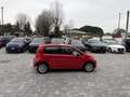 SEAT Mii 1.0 5 porte Style Ecofuel ANCHE NEOPATENTATI Rosso - thumbnail 6