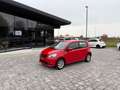 SEAT Mii 1.0 5 porte Style Ecofuel ANCHE NEOPATENTATI Rosso - thumbnail 2