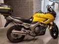 Yamaha TDM 900 Yellow - thumbnail 2