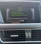 Audi Q5 2,0 TDI quattro Sport S-tronic S-Line Grau - thumbnail 14