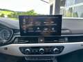 Audi A4 40 TDI quattro advanced S-tronic *RFK*PANO*LED*NAV Grau - thumbnail 24
