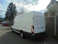 Ford Transit Transit 350 L4 Trend - nur Gewerbe/Export Weiß - thumbnail 4