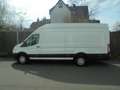 Ford Transit Transit 350 L4 Trend - nur Gewerbe/Export Weiß - thumbnail 3