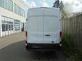 Ford Transit Transit 350 L4 Trend - nur Gewerbe/Export Weiß - thumbnail 5