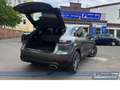 Porsche Cayenne *Pano*Carplay*LED*Memo*RFK*SHZ* Grau - thumbnail 12