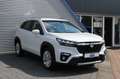 Suzuki S-Cross 1.4 Boosterjet Select Smart Hybrid Wit - thumbnail 11