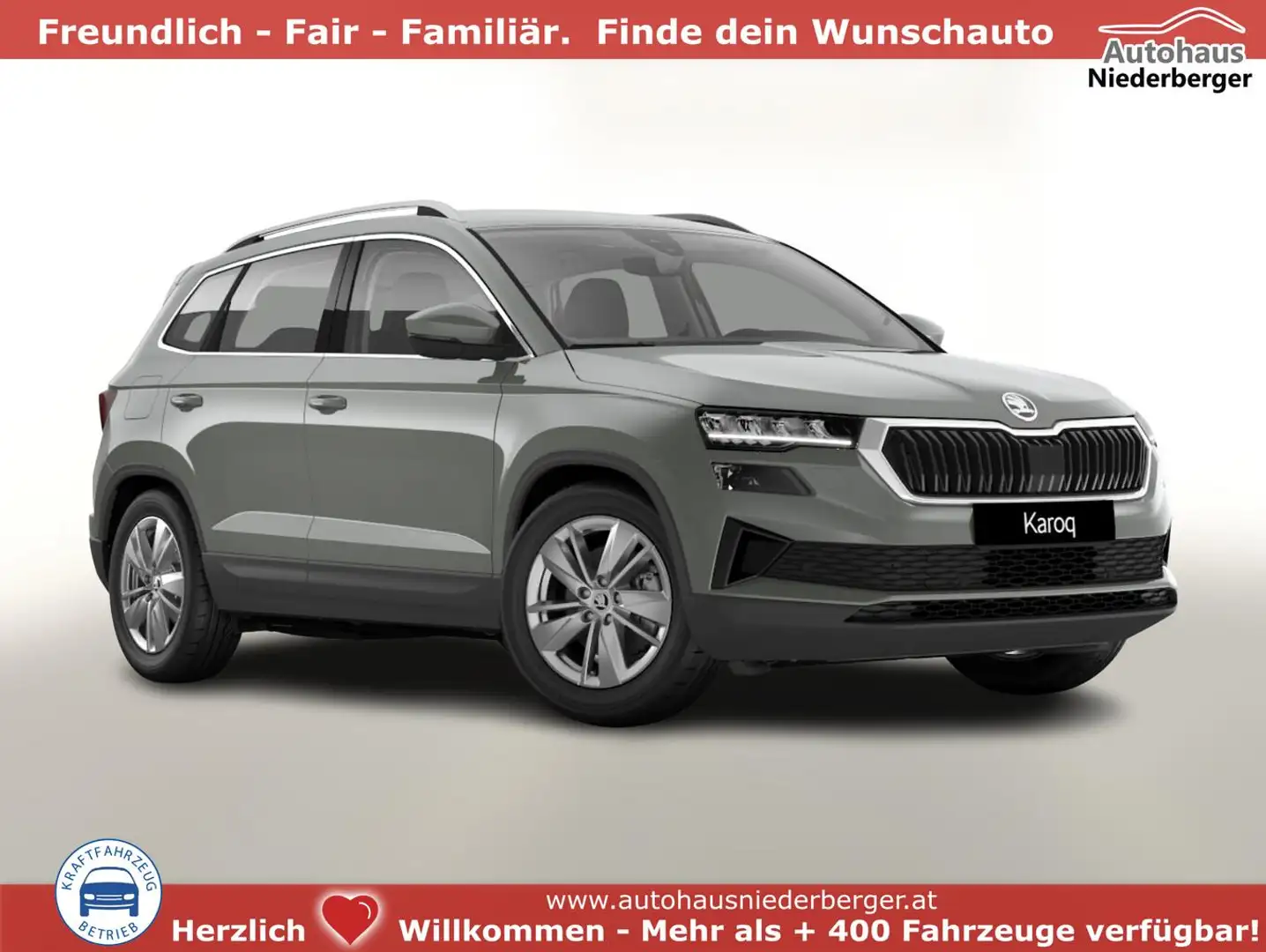 Skoda Karoq Selection TDI 150 DSG Selec LED Nav Kam SHZ Sun... Grau - 1