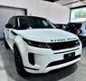 Land Rover Range Rover Evoque 2.0d 180CV i4 Mhev R-Dynamic SE Bianco - thumbnail 5
