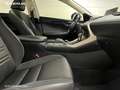 Lexus NX 300 300h Corporate 2WD - thumbnail 5